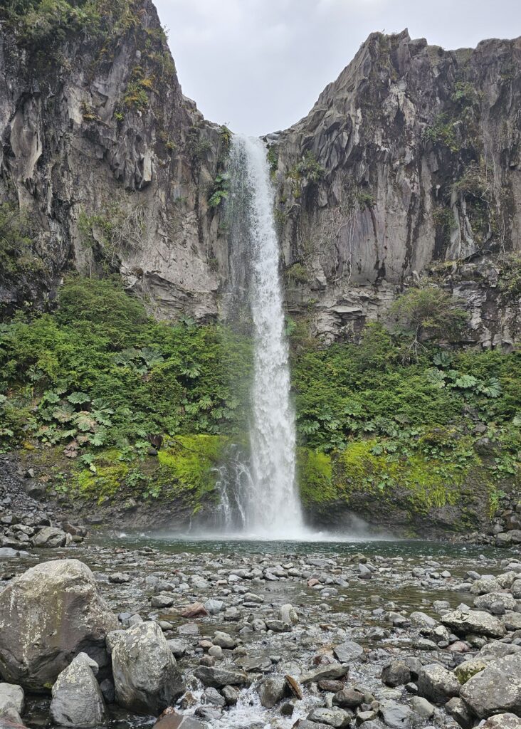 Reserva Nacional Llanquihue 20240330 122524