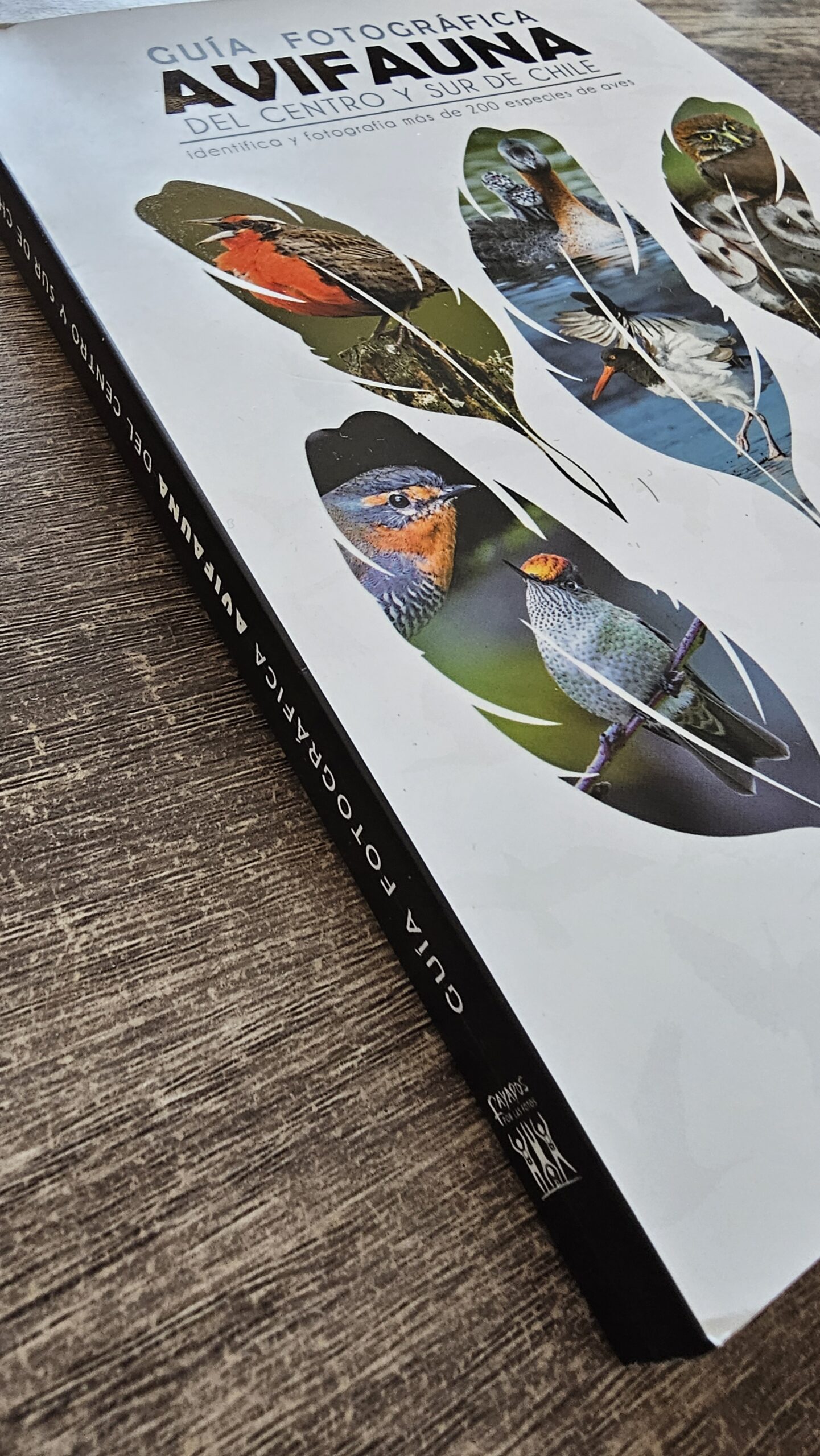 guía fotográfica de avifauna del centro y sur de chile guía fotográfica de avifauna del centro y sur de chile