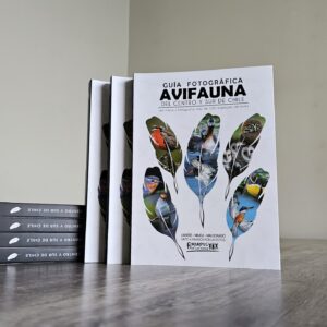 guía fotográfica de avifauna del centro y sur de chile