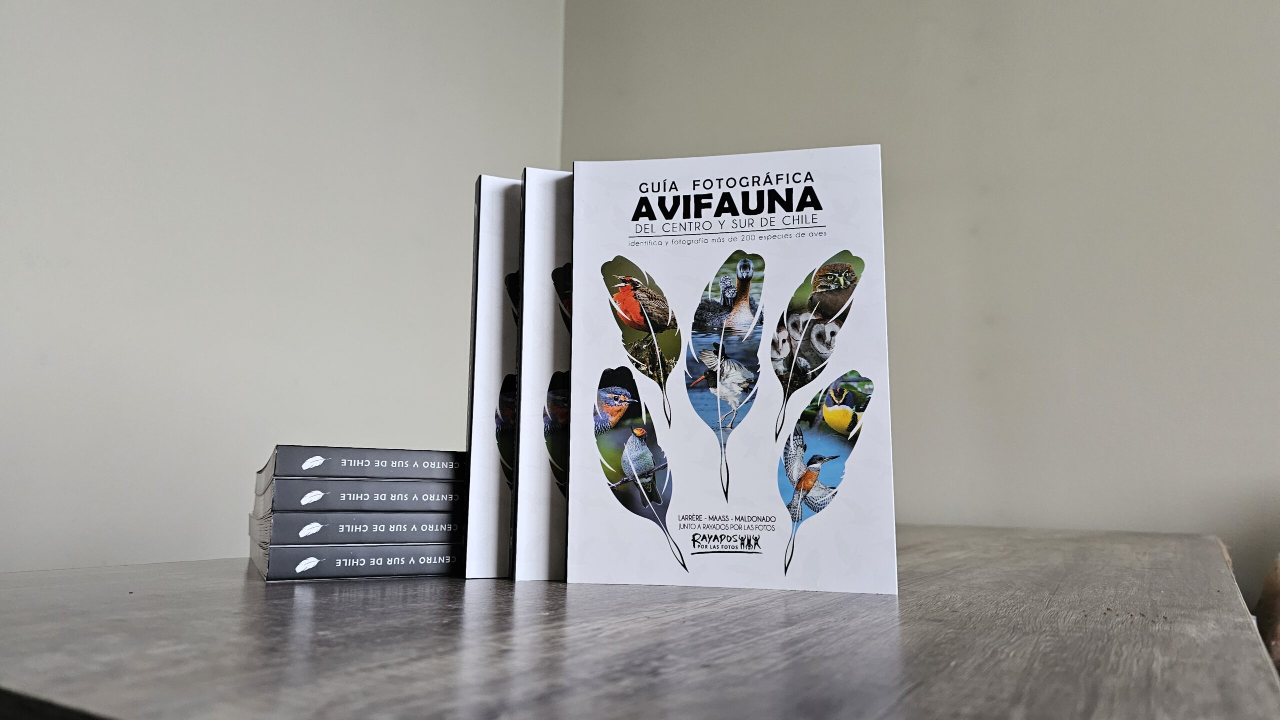 guía fotográfica de avifauna del centro y sur de chile guía fotográfica de avifauna del centro y sur de chile