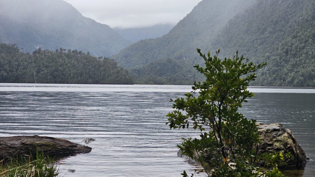 Parque Nacional Alerce Andino 20250927 114649