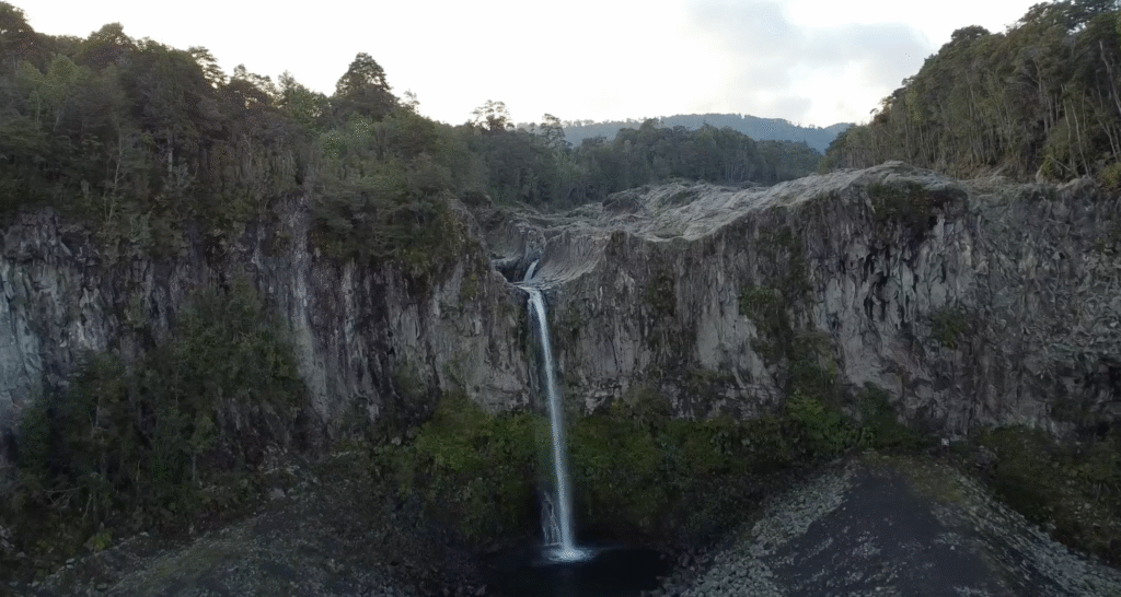 captura de pantalla 2025 11 16 a la(s) 3.48.20 p.m.