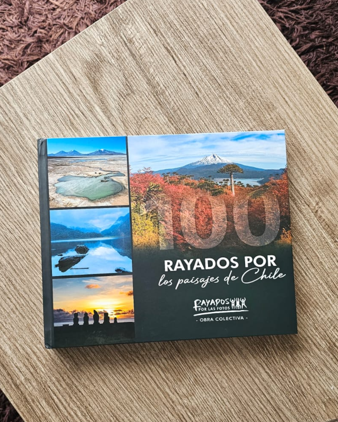 libro "100 rayados por los paisajes de chile" libro "100 rayados por los paisajes de chile"